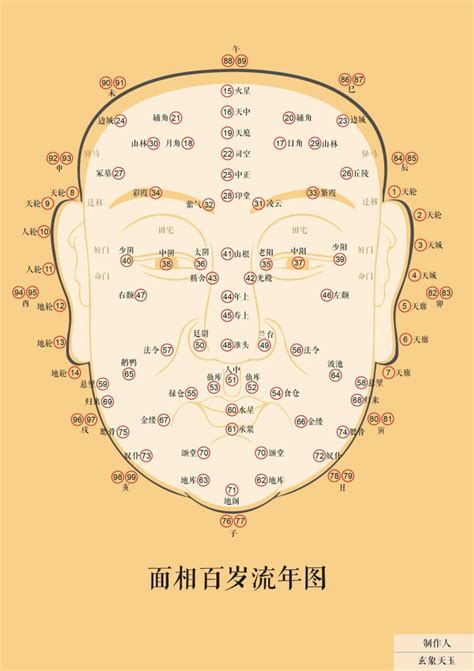 面相 年紀|從青年到老年，面相可以看你一生的運勢